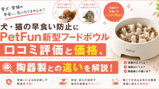 PetFun新型フードボウルのアイキャッチ画像